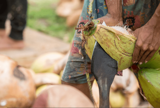 Fabrication isolant fibre de coco