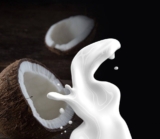 Crème, lait, eau de coco : quelle différence